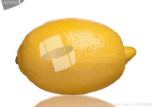 Image of Fresh lemon