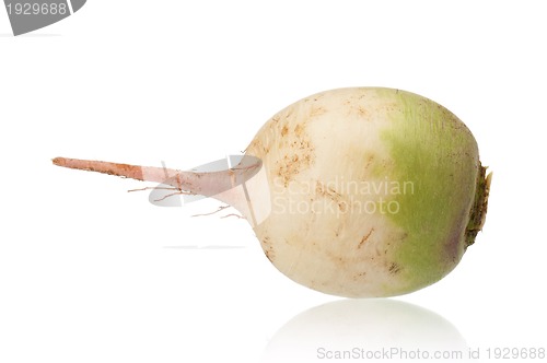 Image of Fresh radish