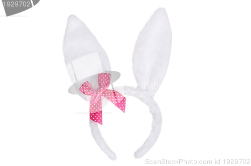 Image of Bunny ears