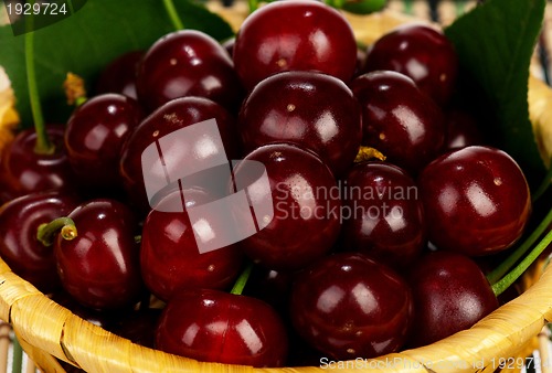 Image of Sweet cherries
