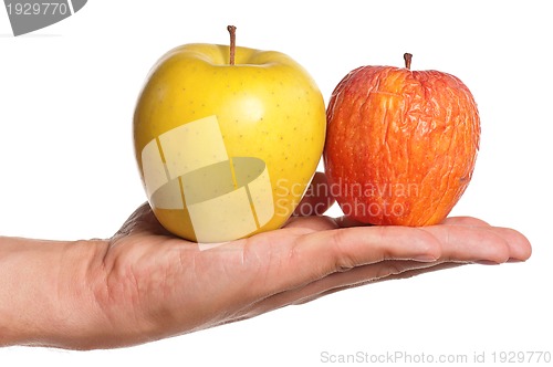 Image of Hand with apple