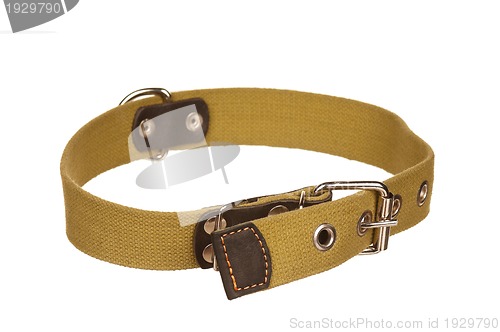 Image of Dog collar