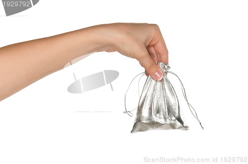 Image of Hand with money bag