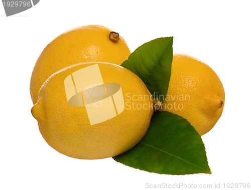 Image of Fresh lemon