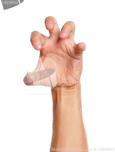 Image of Man hand