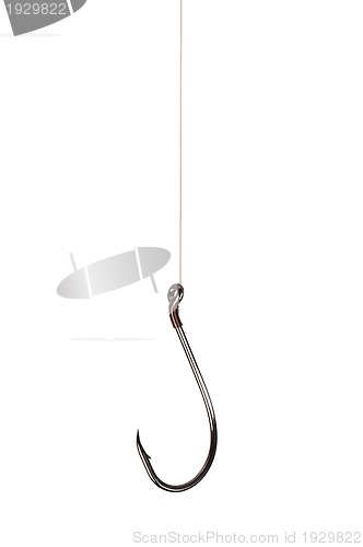 Image of Fish hook