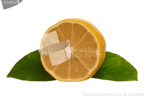 Image of Fresh lemon