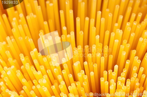 Image of Spaghetti