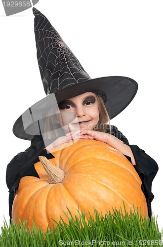 Image of Child in halloween costume