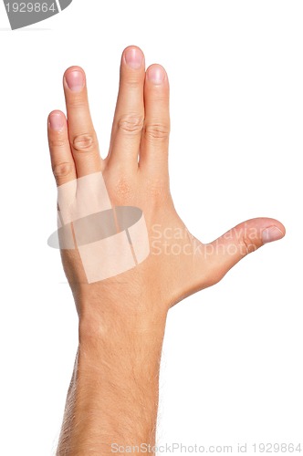 Image of Man hand