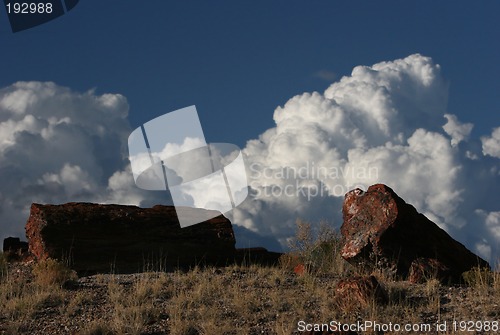 Image of Arizona Natural Park