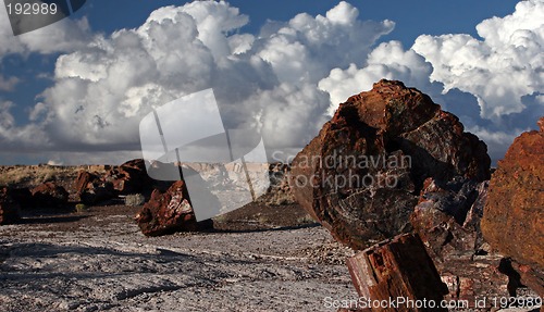 Image of Arizona natural park