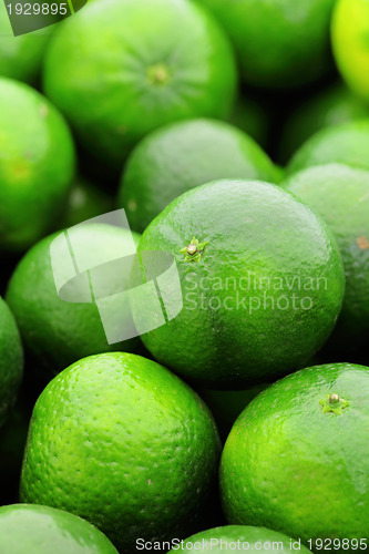 Image of lime citrus fruit