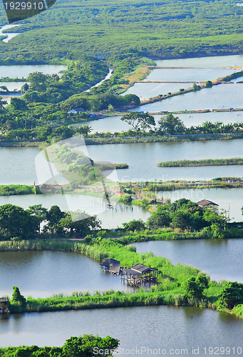 Image of Fish hatchery pond