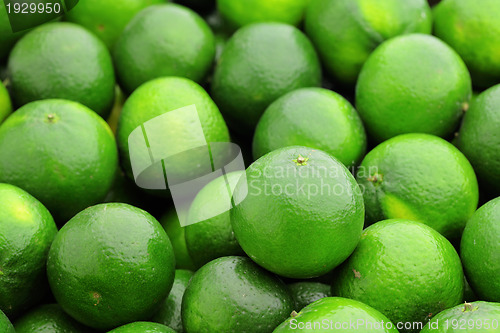 Image of lime citrus fruit