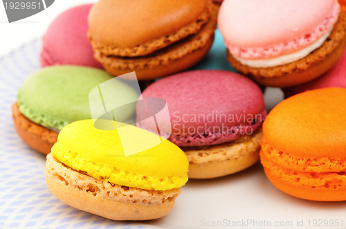 Image of macaroon