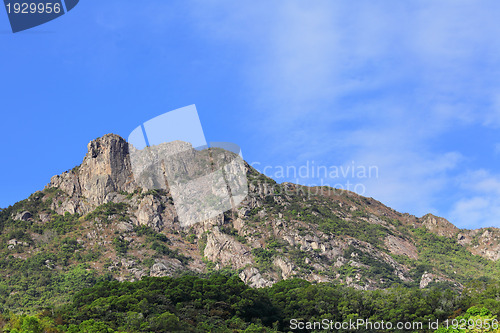 Image of Lion Rock