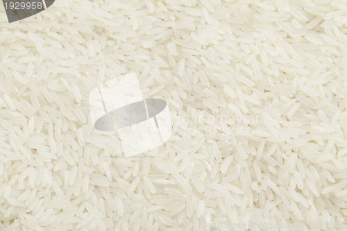 Image of Uncooked Rice