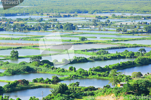 Image of Fish hatchery pond