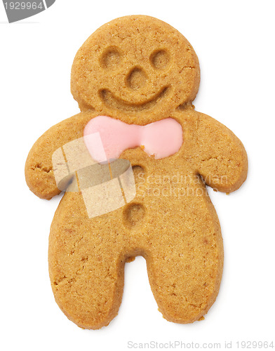 Image of Gingerbread cookie