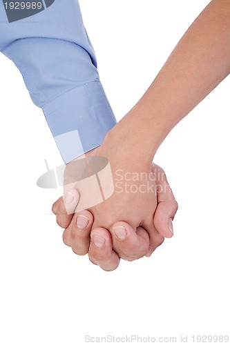 Image of Closeup of young affectionate couple holding hands over white ba