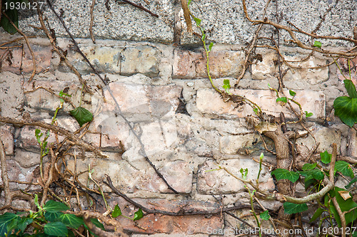 Image of Texture