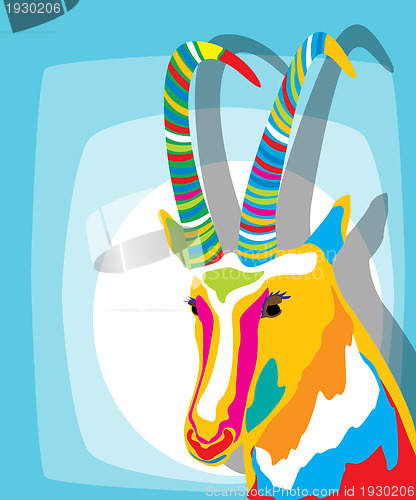 Image of Funky goat