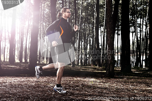Image of Runing in the forest