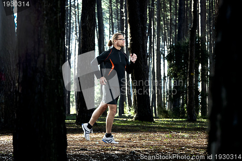 Image of Runing in the forest