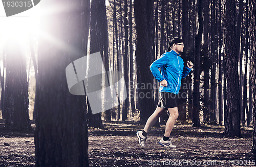 Image of Runing in the forest