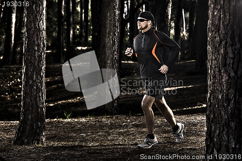 Image of Runing in the forest