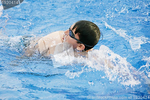 Image of man swims in swimming pool 