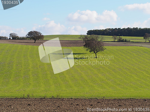 Image of  green meadow and field , autumn