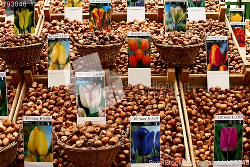 Image of flower market