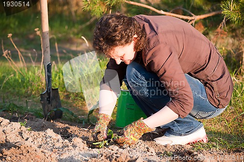 Image of pretty woman in garden