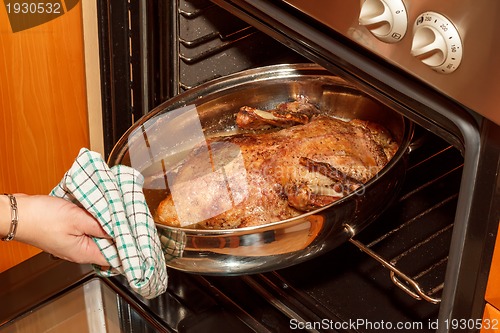 Image of roast duck in the oven