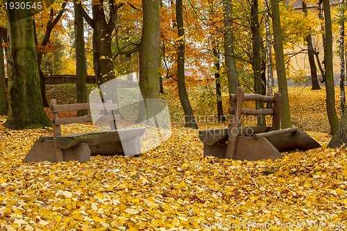 Image of wooden bench in the park