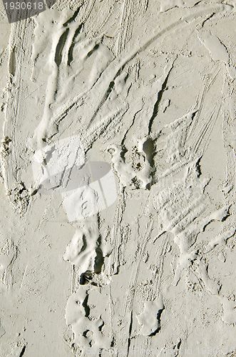 Image of Closeup of rough plastered walls background 