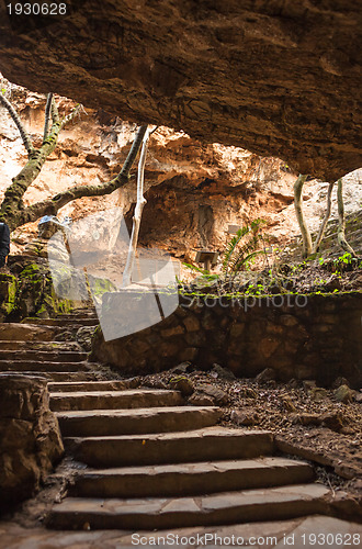 Image of Inside the Cradle of Humankind