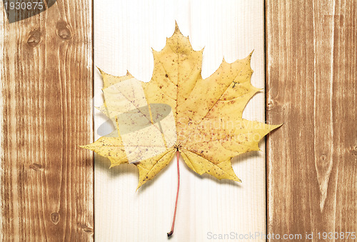 Image of Canadian flag