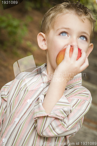 Image of Adorable Child Boy Eating Red Apple Outside