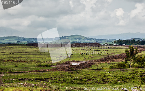 Image of Ethiopian rural landscape