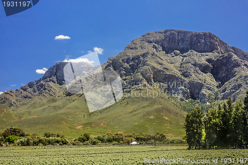 Image of Beautiful Landscapes of South Africa