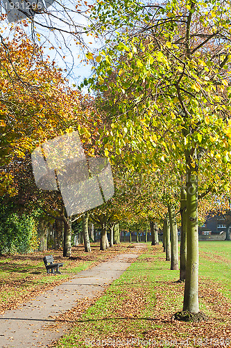 Image of Park in Autumn