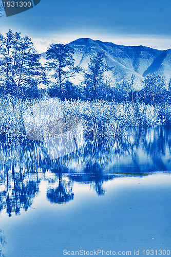 Image of blue and blue