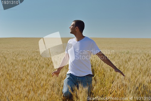 Image of man in wheat field