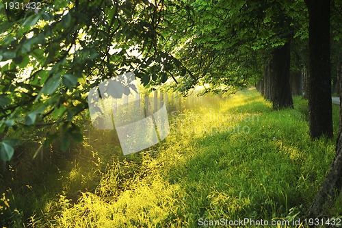 Image of sunrise in beautiful alley