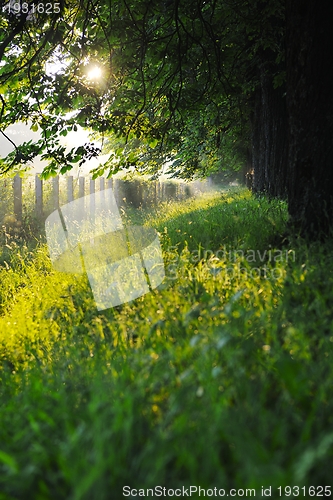 Image of sunrise in beautiful alley