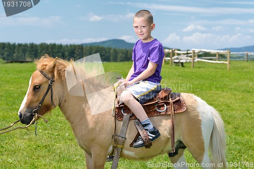 Image of child ride pony