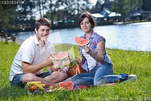 Image of happy young couple having a picnic outdoor